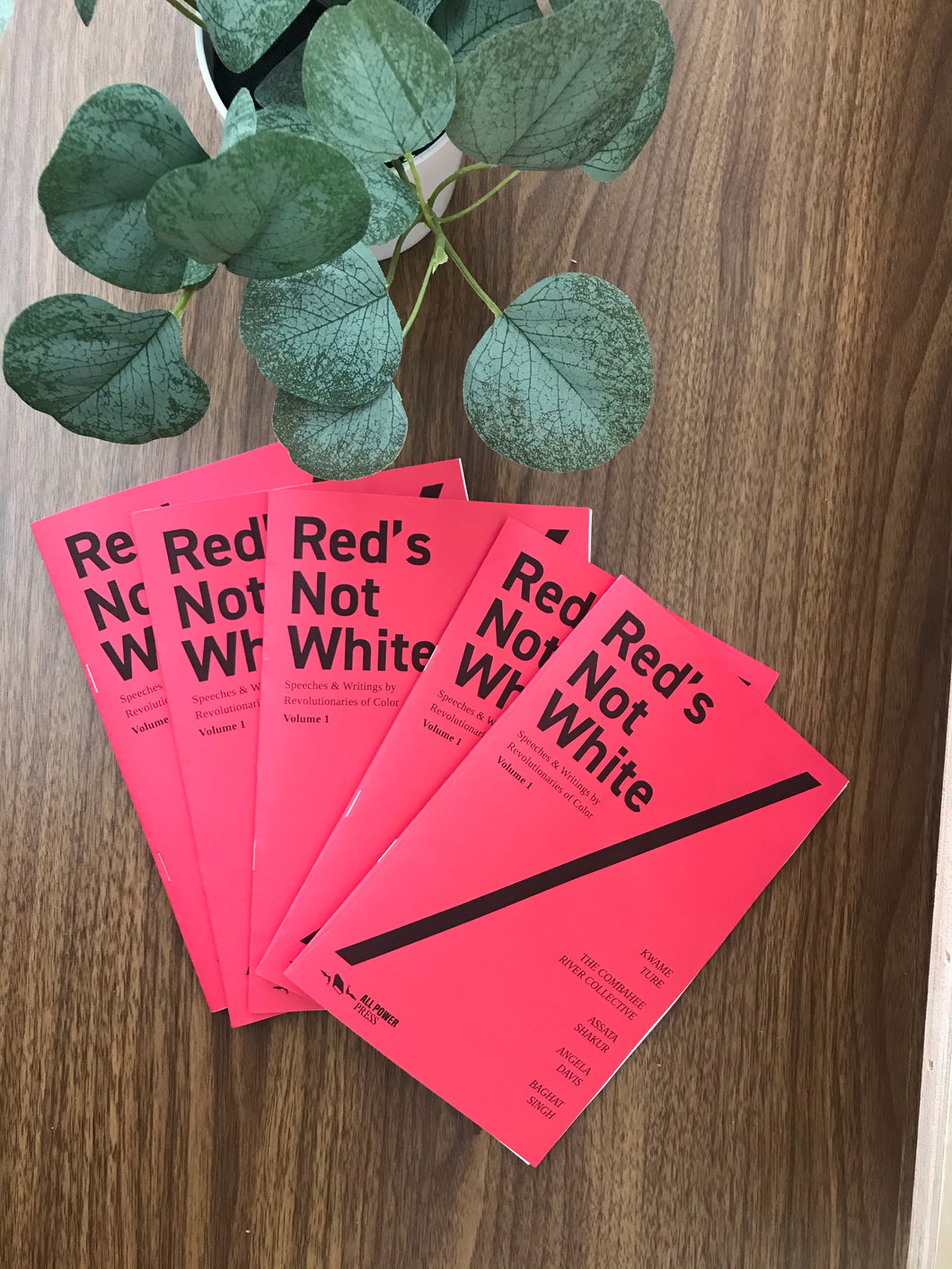 Red’s Not White: Speeches & Writings by Revolutionaries of Color - Zine