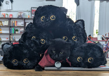 Load image into Gallery viewer, Jiji Plush 2.0
